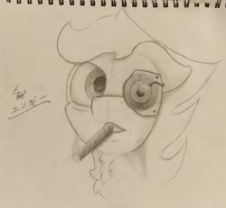 Size: 1952x1800 | Tagged: safe, artist:engi, imported from derpibooru, oc, oc only, oc:engi, pegasus, pony, cigar, looking at you, male, pencil drawing, photo, simple background, smoking, solo, traditional art