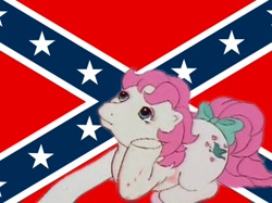 Size: 1024x767 | Tagged: safe, edit, edited screencap, imported from ponybooru, screencap, truly, earth pony, confederate flag, flag, flag background, g1