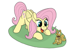 Size: 2530x1651 | Tagged: safe, artist:doodledonutart, imported from derpibooru, fluttershy, pegasus, pony, squirrel, :d, acorn, folded wings, open mouth, open smile, simple background, smiling, solo, white background, wings