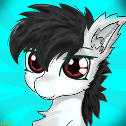 Size: 1196x1196 | Tagged: safe, artist:qianz, derpibooru exclusive, imported from derpibooru, pony, bust, chest fluff, ear fluff, eye clipping through hair, oc name needed, portrait, signature, solo