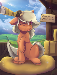 Size: 9144x12192 | Tagged: safe, artist:ardail, imported from derpibooru, earth pony, human, pony, absurd file size, absurd resolution, adoption, blaze (coat marking), chest fluff, coat markings, cute, daaaaaaaaaaaw, ear fluff, epona, eponadorable, facial markings, female, freckles, hand, hay, hay bale, head pat, link, mare, one ear down, one eye closed, pat, petting, ponified, sign, sitting, smiling, the legend of zelda, the legend of zelda: breath of the wild, tongue out, wink