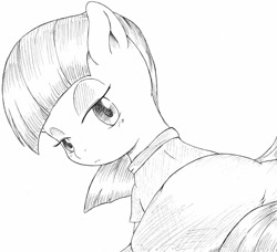 Size: 840x766 | Tagged: safe, artist:auntie_grub, imported from derpibooru, maud pie, earth pony, pony, female, looking at you, looking back, looking back at you, mare, simple background, solo, white background