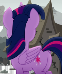 Size: 574x685 | Tagged: safe, imported from derpibooru, screencap, twilight sparkle, alicorn, pony, rainbow roadtrip, butt, butt focus, cropped, female, folded wings, mare, outdoors, plot, solo, twibutt, twilight sparkle (alicorn), wings