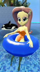 Size: 900x1600 | Tagged: safe, artist:oatmeal!, imported from derpibooru, fluttershy, human, orca, whale, equestria girls, 3d, breasts, clothes, floaty, gmod, inflatable, inflatable toy, inner tube, looking at you, one-piece swimsuit, orange swimsuit, pool toy, sexy, solo, swimming, swimming pool, swimsuit