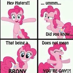 Size: 748x745 | Tagged: safe, imported from derpibooru, pinkie pie, earth pony, pony, artifact, bipedal, brony, comic, dialogue, female, hater, looking at you, mare, needs more jpeg, solo, talking, truth, yelling