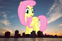 Size: 1920x1280 | Tagged: safe, artist:liggliluff, artist:thegiantponyfan, imported from derpibooru, fluttershy, pegasus, pony, female, folded wings, giant pegasus, giant pony, giantess, giantshy, highrise ponies, irl, louisiana, macro, mare, mega giant, new orleans, open mouth, photo, ponies in real life, smiling, wings