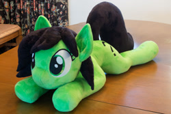 Size: 1280x854 | Tagged: safe, artist:azgchip, imported from derpibooru, oc, oc only, oc:anon, pony, female, irl, mare, photo, plushie, solo