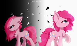 Size: 2560x1536 | Tagged: safe, artist:lunylin, imported from derpibooru, pinkie pie, earth pony, pony, butt fluff, cheek fluff, chest fluff, dock, duality, ear fluff, hock fluff, leg fluff, pinkamena diane pie, profile, raised hoof, sad, self paradox, self ponidox, shoulder fluff, smiling, tail