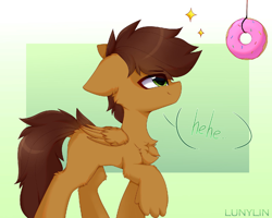 Size: 1600x1280 | Tagged: safe, artist:lunylin, imported from derpibooru, oc, oc only, pegasus, pony, abstract background, chest fluff, donut, food, looking at something, male, simple background, solo, speech bubble, string, text