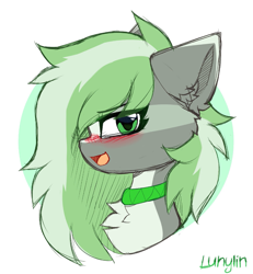 Size: 1481x1600 | Tagged: safe, artist:lunylin, imported from derpibooru, oc, oc only, oc:jade stonesetter, earth pony, pony, abstract background, blushing, chest fluff, jewelry, looking at you, necklace, open mouth, side view, simple background, solo