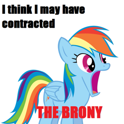 Size: 657x657 | Tagged: safe, imported from derpibooru, rainbow dash, pegasus, pony, brony, female, impact font, jaw drop, mare, meme, open mouth, simple background, solo, white background