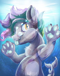 Size: 2160x2722 | Tagged: safe, artist:elicitie, imported from derpibooru, oc, oc only, original species, pony, shark, shark pony, bubble, chest fluff, commission, crepuscular rays, fish tail, flowing mane, grin, looking at you, signature, smiling, solo, sunlight, tail, teeth, tongue out, underwater, water, yellow eyes