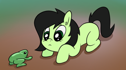 Size: 1940x1080 | Tagged: safe, artist:happy harvey, imported from derpibooru, oc, oc only, oc:filly anon, earth pony, frog, pony, blank flank, cute, ear fluff, female, filly, foal, gradient background, looking at each other, looking at someone, looking down, phone drawing