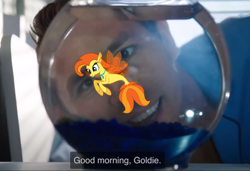 Size: 1500x1027 | Tagged: safe, artist:lightningbolt, edit, imported from derpibooru, oc, oc:goldenflow, fish, goldfish, human, seapony (g4), blue shirt guy, braid, english, fish bowl, fishbowl, free guy, goldie, hair tie, irl, irl human, photo, ryan reynolds, show accurate, subtitles