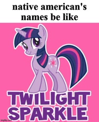 Size: 500x615 | Tagged: safe, imported from derpibooru, twilight sparkle, pony, unicorn, female, meme, native american, offensive, racism, solo, unicorn twilight