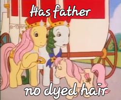 Size: 862x714 | Tagged: safe, imported from ponybooru, screencap, my little pony tales, crown, daughter, father, father and child, father and daughter, female, g1, husband and wife, jewelry, king and queen, king of the isle of pony, male, married couple, meme, mother, mother and child, mother and daughter, parent and child, queen of the isle of pony, regalia, rosy, royalty