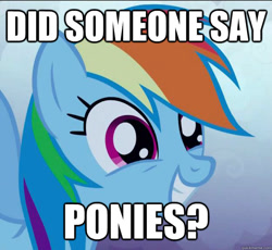 Size: 625x576 | Tagged: safe, edit, edited screencap, imported from derpibooru, screencap, rainbow dash, pegasus, friendship is magic, artifact, caption, excited, female, image macro, impact font, meme, smiling, solo, text