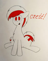 Size: 1280x1628 | Tagged: safe, artist:thunderrainbowshadow, imported from derpibooru, pony, nation ponies, no pupils, poland, polish, ponified, solo, traditional art