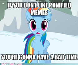 Size: 500x417 | Tagged: safe, imported from derpibooru, rainbow dash, pegasus, pony, caption, female, headband, image macro, impact font, meme, my little brony, ponified meme, snow, solo, south park, text, watermark, you're gonna have a bad time