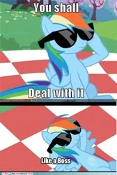 Size: 236x352 | Tagged: safe, imported from derpibooru, rainbow dash, pegasus, pony, lesson zero, artifact, caption, deal with it, female, image macro, impact font, like a boss, meme, my little brony, needs more jpeg, sunglasses, text, watermark