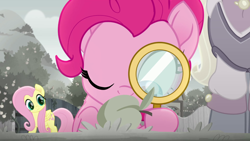 Size: 1920x1080 | Tagged: safe, imported from derpibooru, screencap, fluttershy, mr. hoofington, pinkie pie, rainbow roadtrip, apricot, magnifying glass