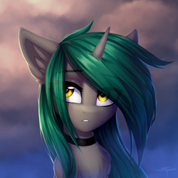 Size: 3000x3000 | Tagged: safe, artist:setharu, imported from derpibooru, oc, oc only, oc:soft spring, pony, unicorn, bust, chest fluff, collar, ear fluff, female, horn, mare, portrait, signature, solo