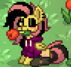 Size: 479x451 | Tagged: safe, imported from derpibooru, fluttershy, pegasus, pony, pony town, clothes, emoshy, flower, flower in mouth, looking at you, one eye closed, rose, rose in mouth, socks, solo