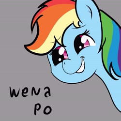 Size: 5906x5906 | Tagged: safe, artist:reinbou, imported from derpibooru, rainbow dash, pegasus, pony, female, gray background, simple background, smiling, solo, spanish text