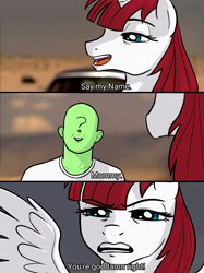 Size: 1080x1442 | Tagged: safe, artist:crade, imported from ponybooru, oc, oc only, oc:anon, oc:fausticorn, alicorn, human, pony, breaking bad, colored, dialogue, mommy, paintover, pop culture, shitposting
