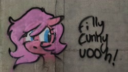 Size: 4000x2248 | Tagged: safe, artist:parfait, imported from ponybooru, oc, oc only, oc:kayla, earth pony, pony, bust, female, filly, foal, graffiti, irl, photo, portrait, text