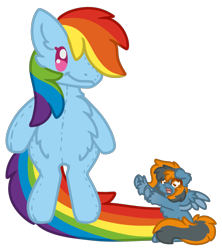 Size: 1688x1901 | Tagged: safe, artist:michini, imported from derpibooru, rainbow dash, oc, pegasus, pony, chest fluff, chibi, cute, plushie, rainbow dash plushie, requested art, simple background, size difference, solo, tiny, tiny ponies, toy, transparent background, wings