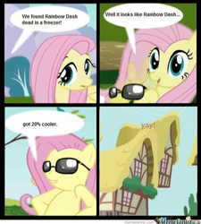 Size: 500x555 | Tagged: safe, artist:ponyflea, edit, imported from derpibooru, fluttershy, pegasus, pony, 20% cooler, artifact, csi, csi miami, dark comedy, female, implied death, implied rainbow dash, mare, meme, memecenter, needs more jpeg, speech bubble, sunglasses, text, watermark, yay