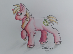 Size: 2456x1840 | Tagged: safe, artist:beefgummies, imported from derpibooru, big macintosh, earth pony, pony, big macintosh's yoke, colored pencil drawing, hoof fluff, horse collar, looking sideways, male, red coat, signature, solo, stallion, traditional art, unshorn fetlocks, yellow mane