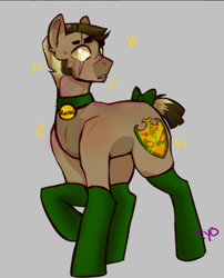 Size: 536x664 | Tagged: safe, artist:tyotheartist1, imported from derpibooru, oc, oc only, oc:royal ranks, earth pony, pony, bow, clothes, collar, colored pupils, eye scar, eyebrows, gray background, male, raised hoof, scar, signature, simple background, socks, solo, stallion, sweat, sweatdrop, tail, tail bow