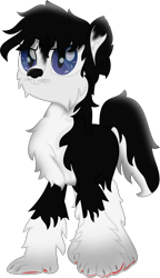 Size: 5132x8910 | Tagged: safe, artist:lincolnbrewsterfan, imported from derpibooru, dog, dog pony, hengstwolf, husky, hybrid, original species, pony, werewolf, wolf, wolf pony, my little pony: the movie, .svg available, alternate universe, black and white, black and white tail, black mane, blake connors, blue eyes, bushy tail, chest fluff, chin fluff, claws, death stare, dog nose, ear fluff, fanart, fur, glare, grayscale, highlights, leg fluff, male, monochrome, movie accurate, neck fluff, paw pads, paw prints, pawkinesis, paws, ponified, race swap, red, serious, serious face, shading, simple background, slit pupils, species swap, stallion, stallion oc, svg, tail, transparent background, two toned tail, vector, webkinz, whiskers, youtube