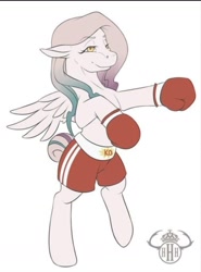 Size: 1080x1461 | Tagged: safe, artist:herhornedhighness, imported from derpibooru, oc, oc only, oc:knockout, pegasus, pony, bipedal, boxing, boxing gloves, female, mare, simple background, solo, sports, white background