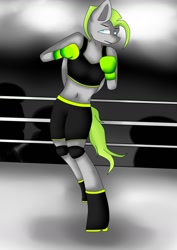 Size: 1034x1462 | Tagged: safe, artist:glacy art, imported from derpibooru, oc, oc only, oc:lime blitz, anthro, pegasus, unguligrade anthro, boxing, boxing gloves, boxing ring, clothes, female, solo, sports, sports bra