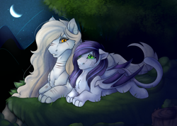 Size: 2500x1780 | Tagged: safe, artist:highrolleryt, imported from derpibooru, oc, oc only, bat pony, cat, cat pony, original species, pony, bat pony oc, bat wings, crescent moon, duo, lying down, moon, night, outdoors, prone, stars, transparent moon, wings