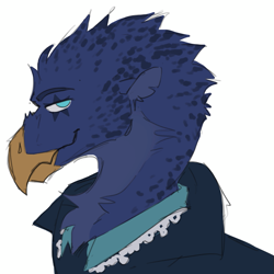 Size: 721x721 | Tagged: safe, artist:mookaoo, imported from derpibooru, oc, oc only, oc:eid, griffon, beak, bust, clothes, colored sketch, griffon oc, male, portrait, side view, simple background, solo, white background