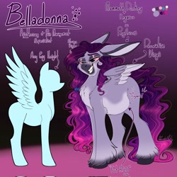 Size: 2048x2048 | Tagged: safe, artist:unfinishedheckery, imported from derpibooru, oc, oc only, oc:belladonna, donkey, hybrid, pegasus, pony, bedroom eyes, chubby, digital art, female, floppy ears, mare, reference sheet, solo, spread wings, tail, text, wings