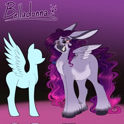 Size: 2048x2048 | Tagged: safe, alternate version, artist:unfinishedheckery, imported from derpibooru, oc, oc only, oc:belladonna, donkey, hybrid, pegasus, pony, bedroom eyes, chubby, digital art, female, floppy ears, mare, reference sheet, solo, spread wings, tail, textless version, wings