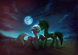 Size: 1390x982 | Tagged: safe, artist:skyeypony, imported from derpibooru, cheerilee, oc, earth pony, pony, canon x oc, detailed background, duo, female, holding hooves, looking into each others eyes, mare, moon, night, oc name needed