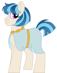 Size: 1249x1586 | Tagged: safe, artist:moonert, imported from derpibooru, oc, oc only, earth pony, pony, clothes, earth pony oc, male, simple background, solo, stallion, transparent background