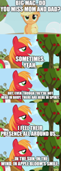 Size: 500x1406 | Tagged: safe, edit, edited screencap, imported from derpibooru, screencap, applejack, big macintosh, comic, implied apple bloom, implied bright mac, implied pear butter, screencap comic