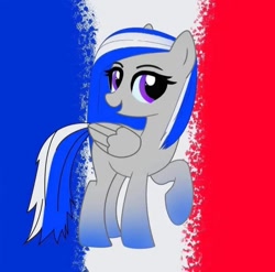 Size: 720x712 | Tagged: safe, imported from derpibooru, oc, oc only, earth pony, flag, france, solo