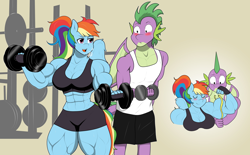 Size: 2048x1266 | Tagged: safe, artist:matchstickman, imported from derpibooru, rainbow dash, spike, anthro, dragon, pegasus, abs, armpits, art trade, biceps, breasts, busty rainbow dash, clothes, deltoids, dumbbell (object), duo, female, flexing, flexing muscles, gradient background, gym, mare, muscles, muscular female, pecs, rainbuff dash, sweat, thighs, thunder thighs