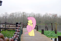 Size: 2896x1944 | Tagged: safe, artist:erccre147, artist:mlplover94, imported from derpibooru, fluttershy, pegasus, pony, eyes closed, female, florida, high res, irl, jacksonville, mare, outdoors, photo, ponies in real life, smiling, solo, standing