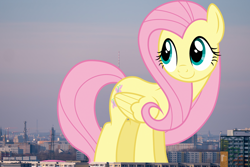 Size: 3000x2000 | Tagged: safe, artist:dashiesparkle, artist:thegiantponyfan, imported from derpibooru, fluttershy, pegasus, pony, berlin, female, folded wings, germany, giant pegasus, giant pony, giantess, giantshy, high res, highrise ponies, irl, macro, mare, mega giant, photo, ponies in real life, smiling, solo, wings