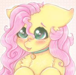 Size: 2040x2000 | Tagged: safe, artist:saltyvity, imported from derpibooru, fluttershy, pegasus, pony, abstract background, big ears, big eyes, blushing, bust, chest fluff, collar, cute, female, floppy ears, fluffy, green eyes, heart eyes, high res, hooves to the chest, nya, pink hair, solo, sparkles, stray strand, three quarter view, tongue out, wingding eyes