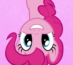 Size: 617x548 | Tagged: safe, imported from derpibooru, screencap, pinkie pie, earth pony, pony, all bottled up, season 7, best friends until the end of time, bust, cartoon physics, cropped, cute, diapinkes, female, grin, happy, in which pinkie pie forgets how to gravity, mare, pink background, pinkie being pinkie, pinkie physics, simple background, smiling, solo, upside down